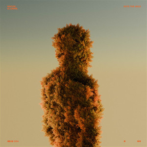 Album Cover - Into The Wild